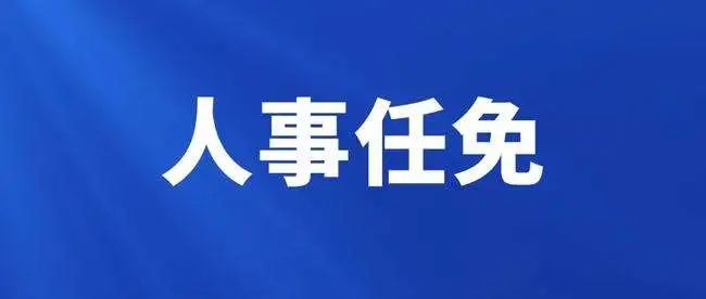 重庆人事变革与管理新篇章，最新任免通知引发城市人事调整与管理升级