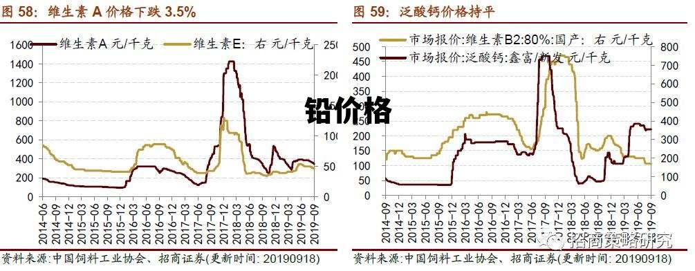 落阳一地的殇 第2页