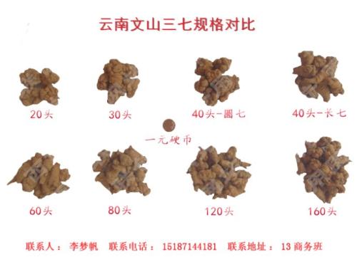 三七最新价格行情解析