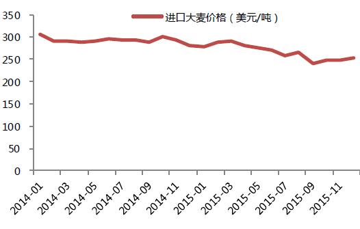 江苏大麦价格最新行情解析