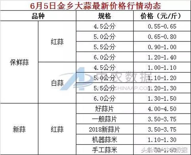 今日大蒜价格走势及分析，最新价格表与市场影响因素探讨