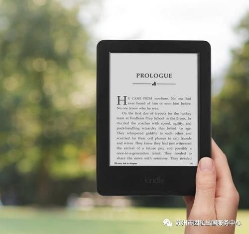 新澳精准资料免费提供,调整方案执行细节_Kindle72.893