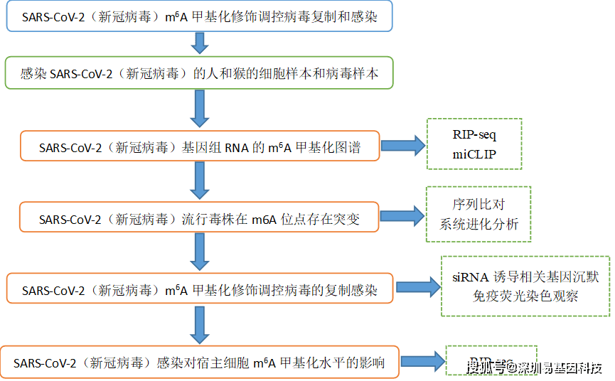 新澳精准资料免费提供,专业研究解释定义_kit58.621