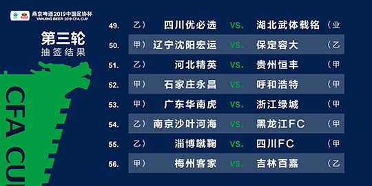 新澳2024年精准资料,资源实施策略_界面版50.946