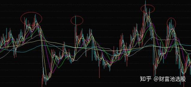 新奥精准免费资料提供,深度分析解析说明_Lite88.446