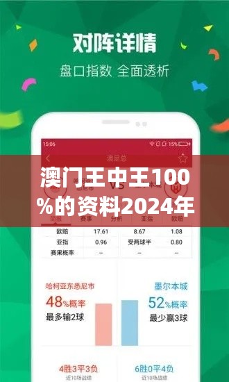 2024澳门王中王100%期期中,实地验证策略_挑战版87.669