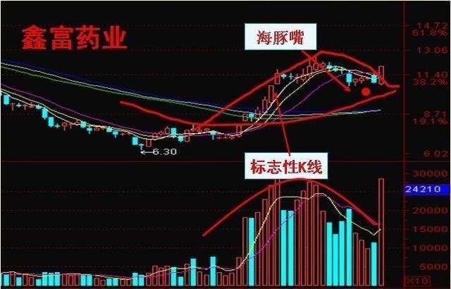 三肖必中三期必出凤凰网2023,高效计划设计实施_tShop91.967