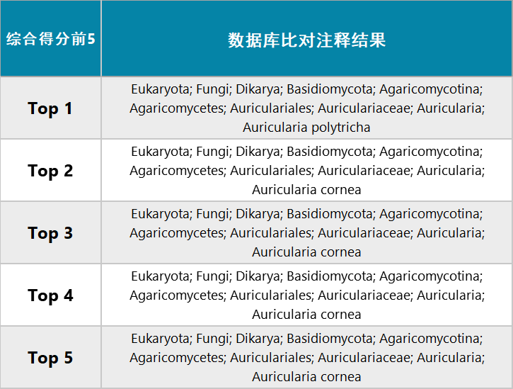 62669cc澳彩资料大全2020期,经典案例解释定义_Plus98.601