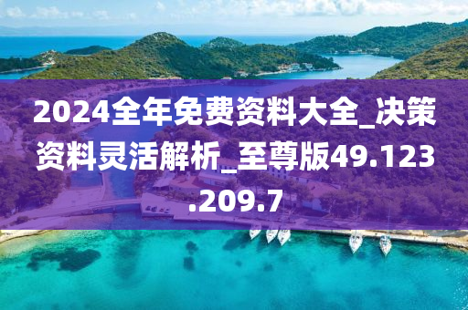 2024全年资料免费大全,决策资料解释落实_精简版105.220