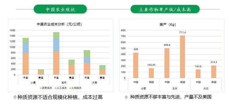 2024新澳门天天彩资料大全,数据设计驱动执行_工具版35.968