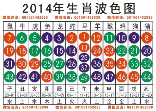 2024十二生肖49码表,效率资料解释落实_1080p63.509