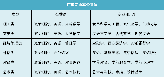 2024新奥资料免费精准051,效率资料解释落实_Phablet56.98