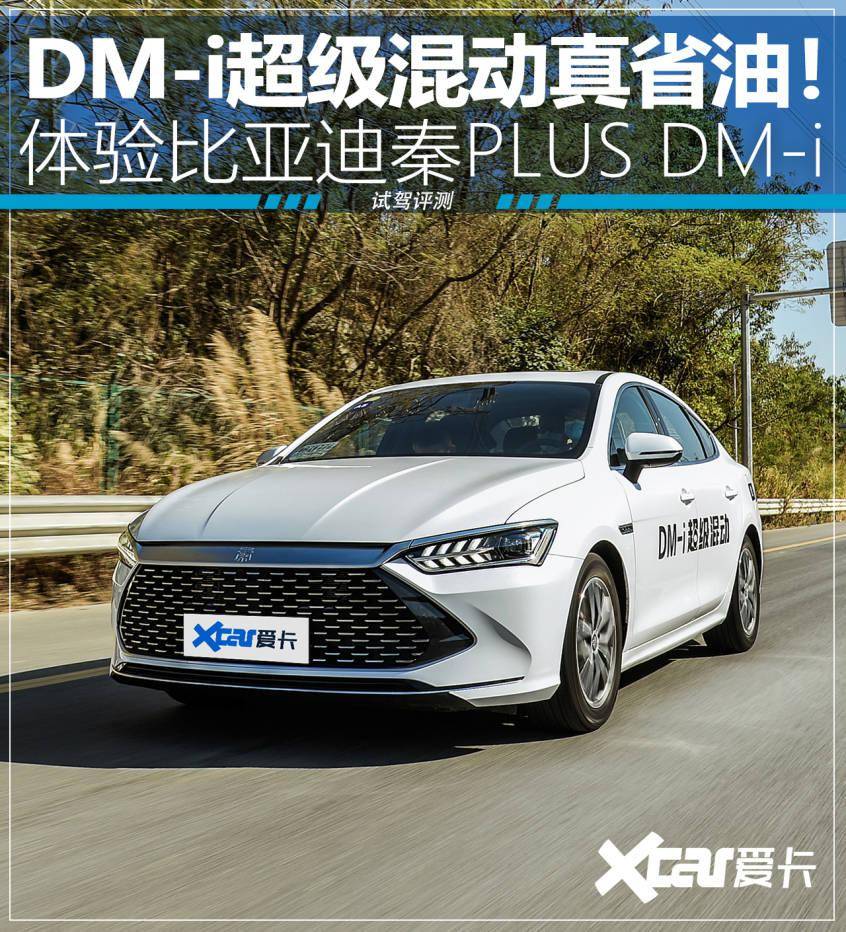 澳门2024正版资料免费公开,动态词语解释落实_8DM96.767