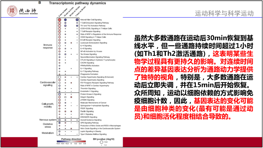 新澳门六开奖结果资料查询,实效解读性策略_N版67.333