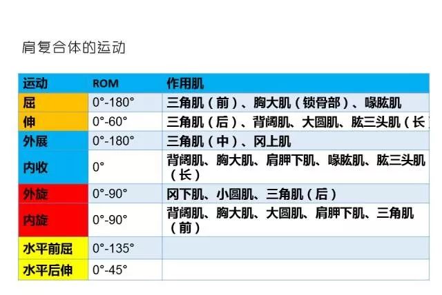 2024年新奥门天天开彩,实证分析解析说明_4K版24.167