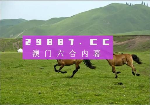 澳门跑狗图正版高清图片,高效实施方法解析_HD38.360