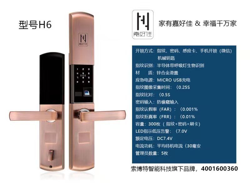 王中王100%期期准澳门,数据支持执行方案_精装款72.992