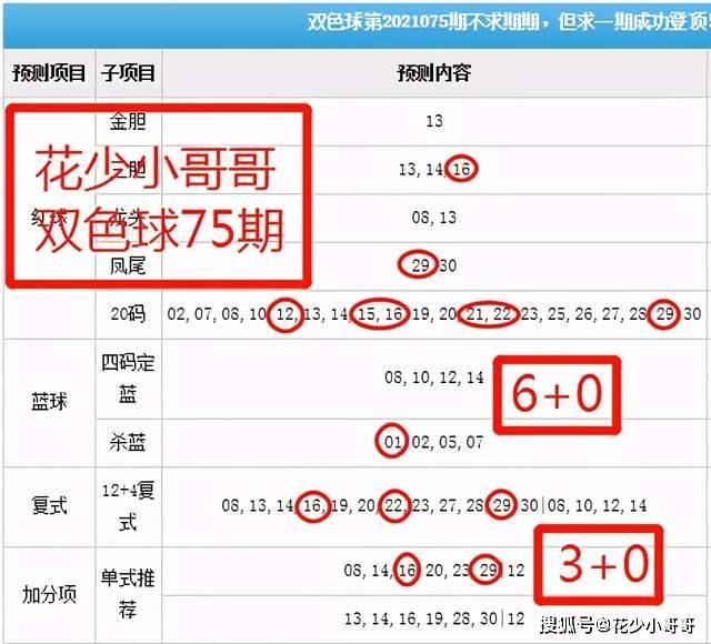 白小姐今晚特马期期准六,决策信息解析说明_PT43.400