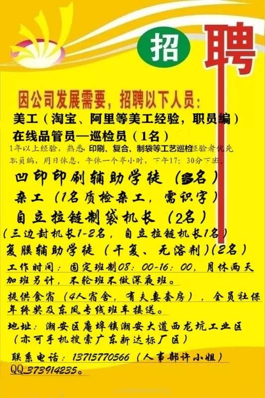 新造镇最新招聘信息详解与解读