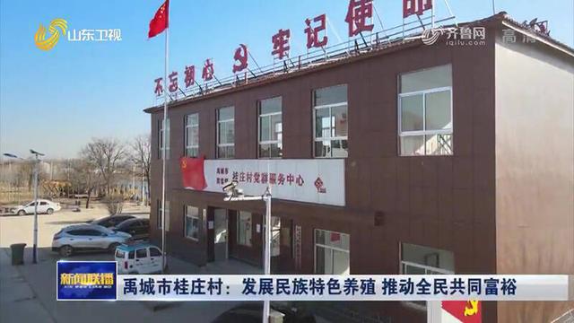 小鸭村委会最新动态报道