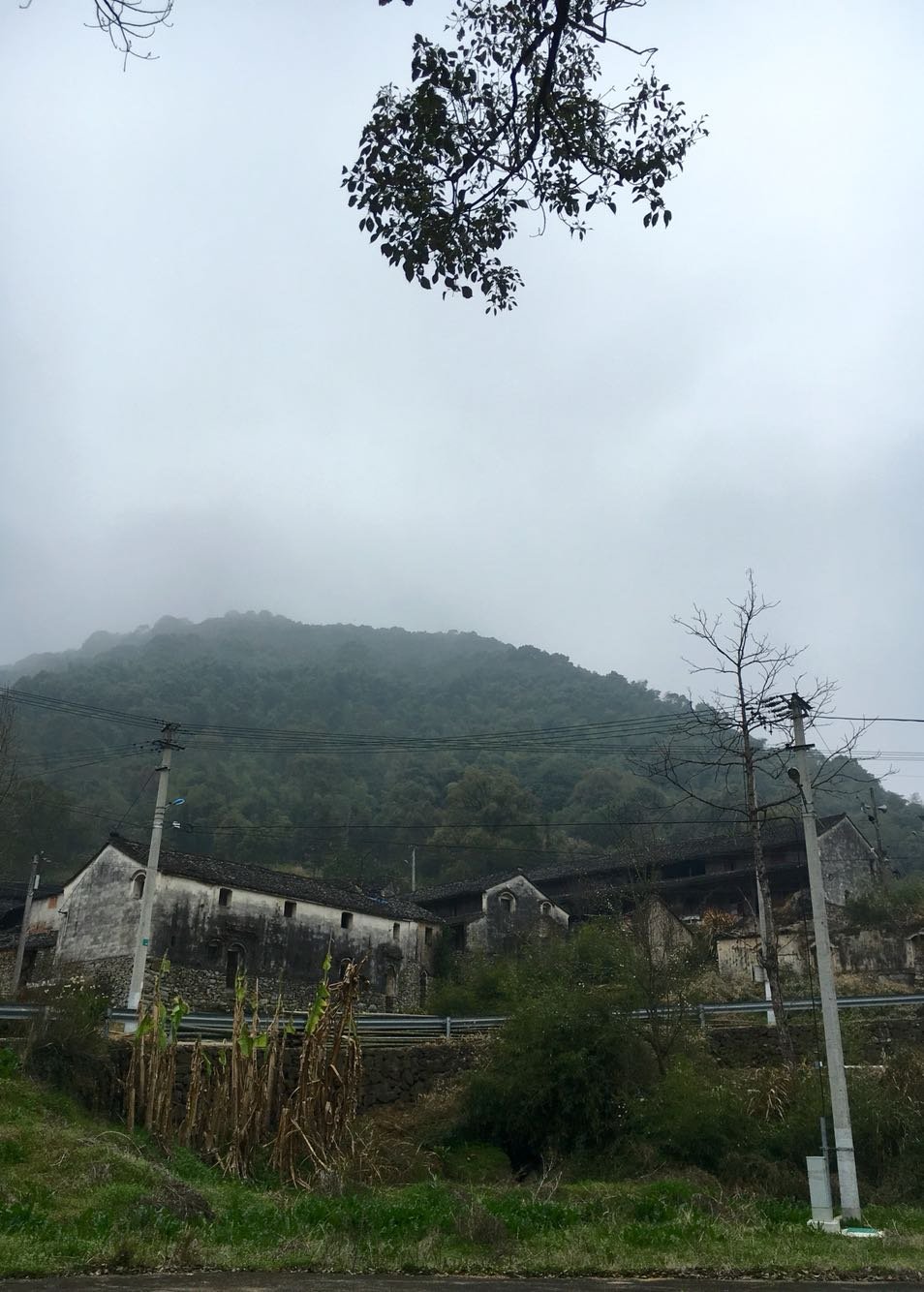 蛇蟠乡天气预报更新通知