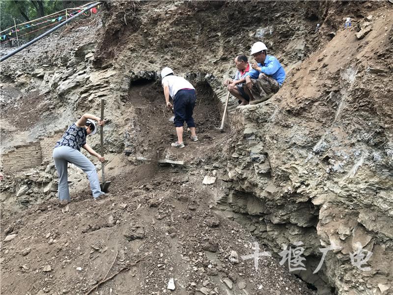 郧西县文化广电体育和旅游局新项目推动文旅融合，县域经济获助力