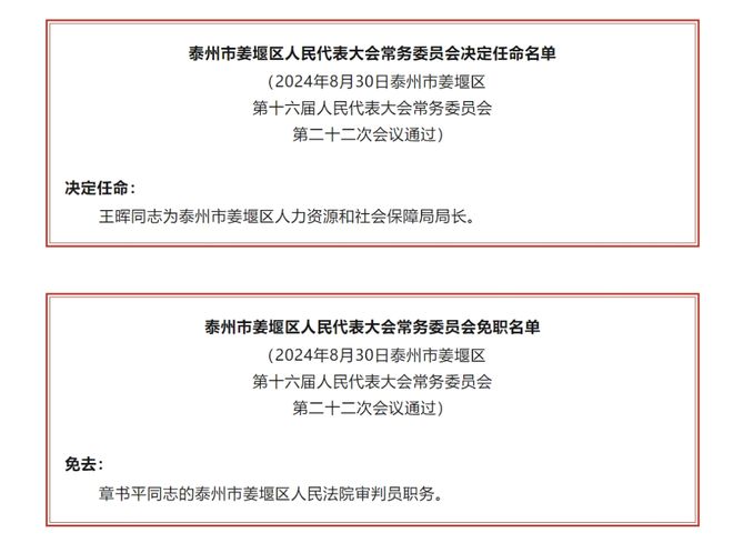 桥西区审计局人事任命，推动审计事业新动力启程