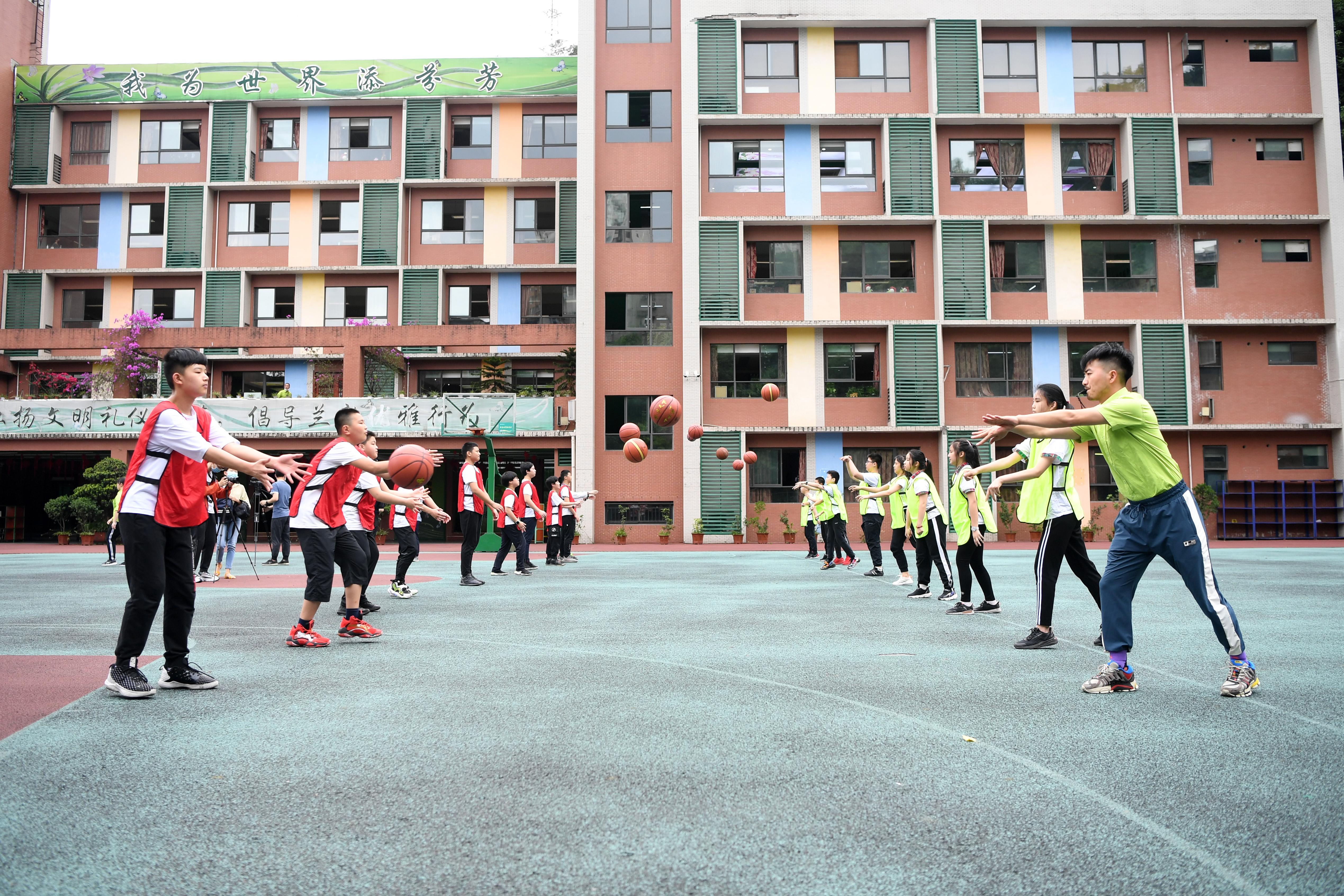 沙坪坝区小学最新项目，开启未来教育新篇章