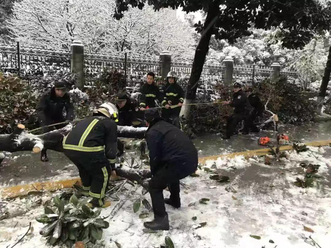 天目山镇交通新动态，发展助力地方繁荣