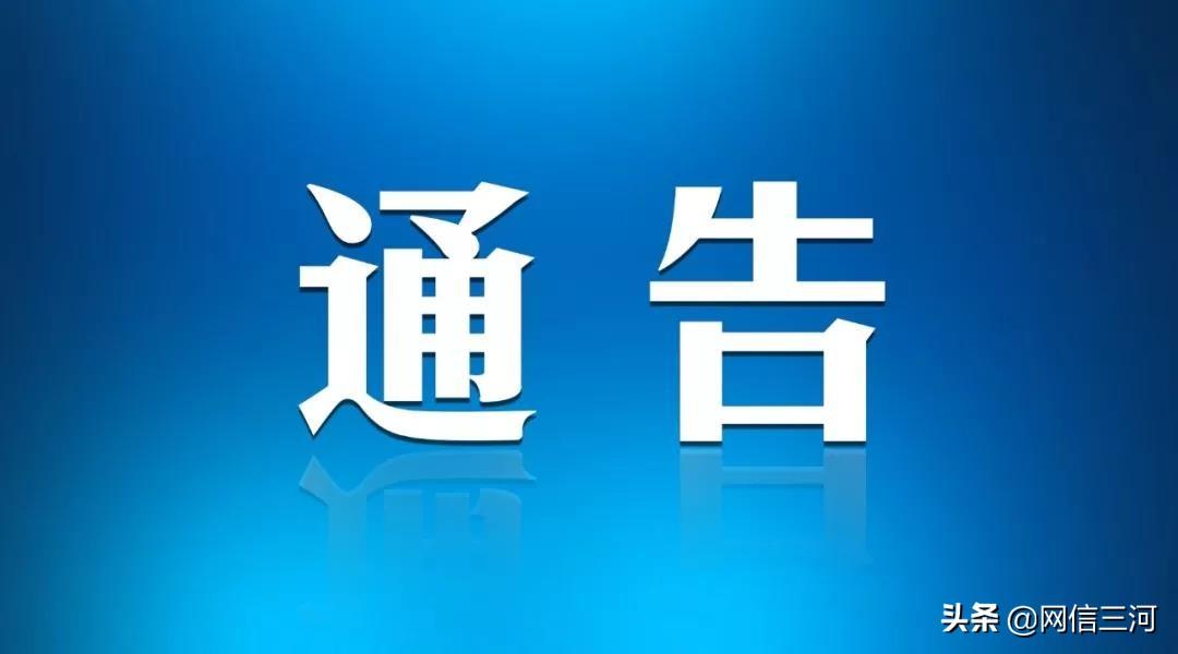 廊坊市公安局现代化警务体系构建，推动社会治安新篇章发展策略揭秘