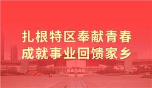 梅州市城市社会经济最新项目研究报告揭秘，深度探究梅州市社会经济调查数据