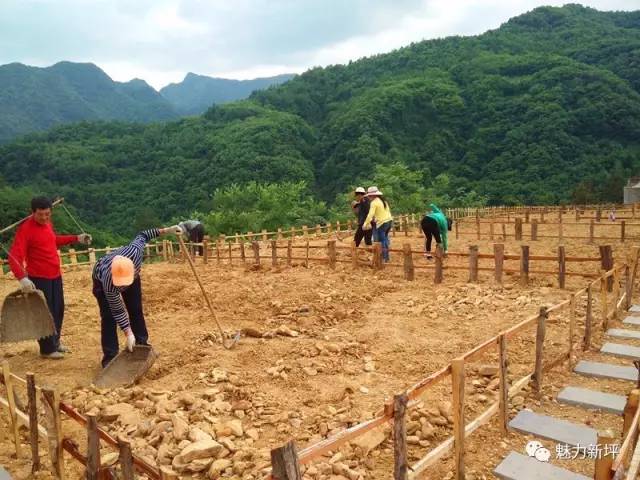 宝峰村新项目，乡村振兴的新动力